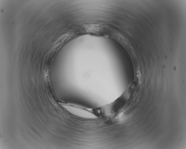 X0000052980329200507291558