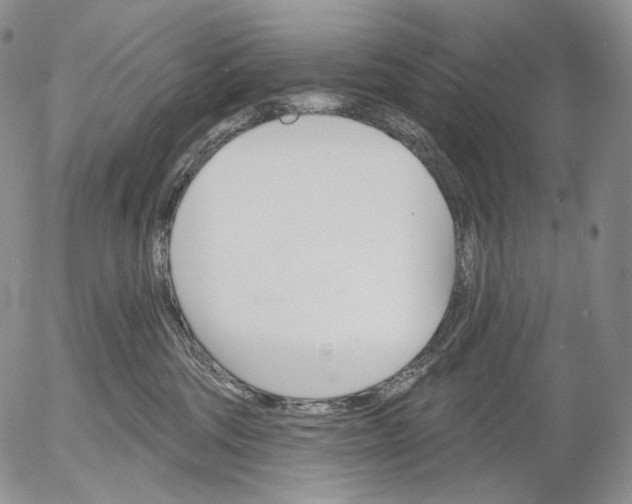 X0000052980330200507291558