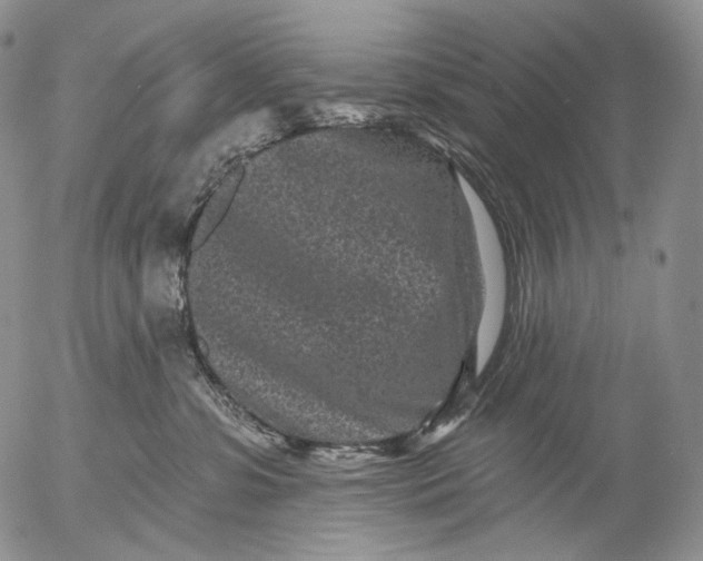 X0000052980331200507291558