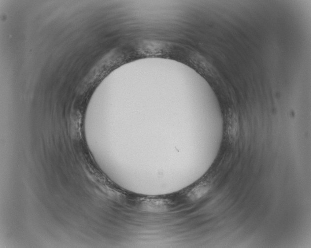 X0000052980332200507291558