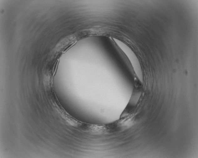 X0000052980333200507291558