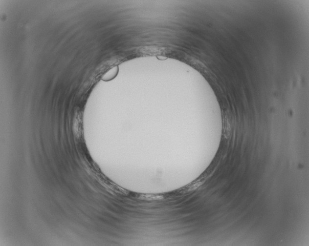 X0000052980334200507291558