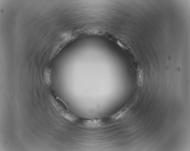 X0000052980335200507291558