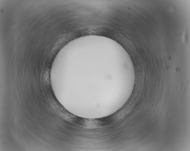 X0000052980336200507291558