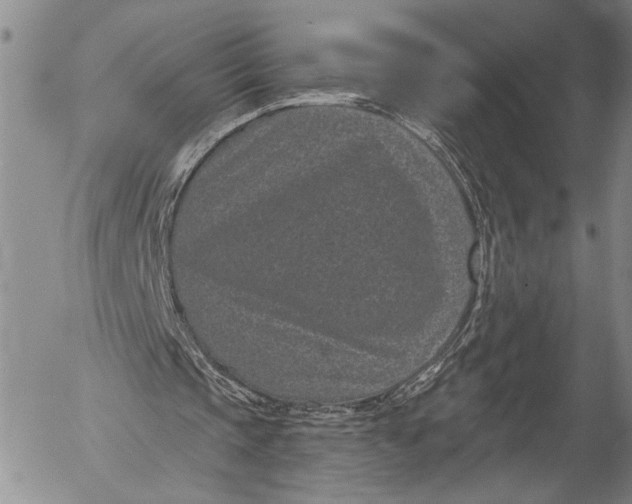 X0000052980337200507291557