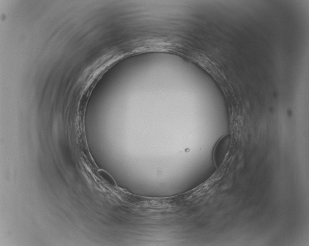 X0000052980338200507291557