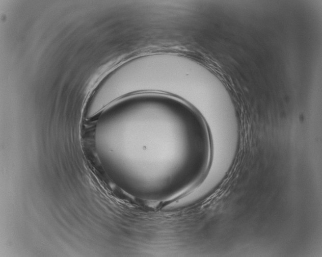 X0000052980340200507291557