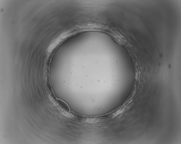 X0000052980341200507291557