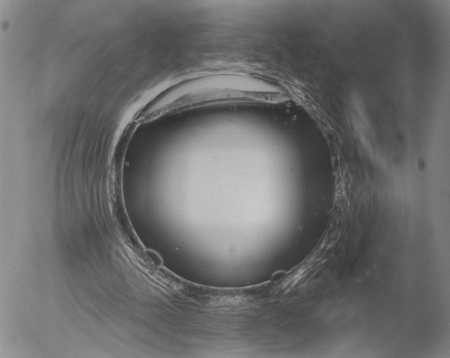 X0000052980342200507291557