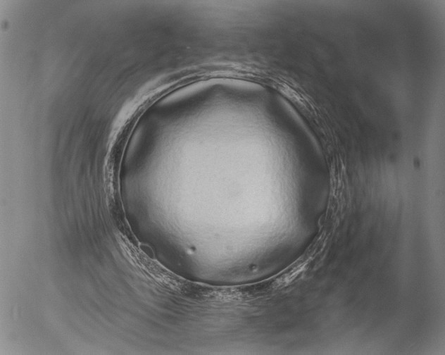 X0000052980343200507291557