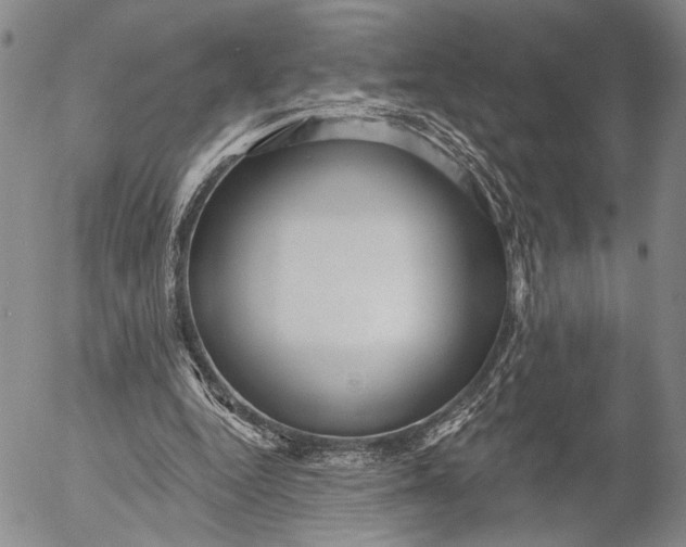 X0000052980344200507291557