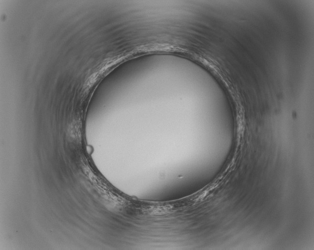 X0000052980345200507291557