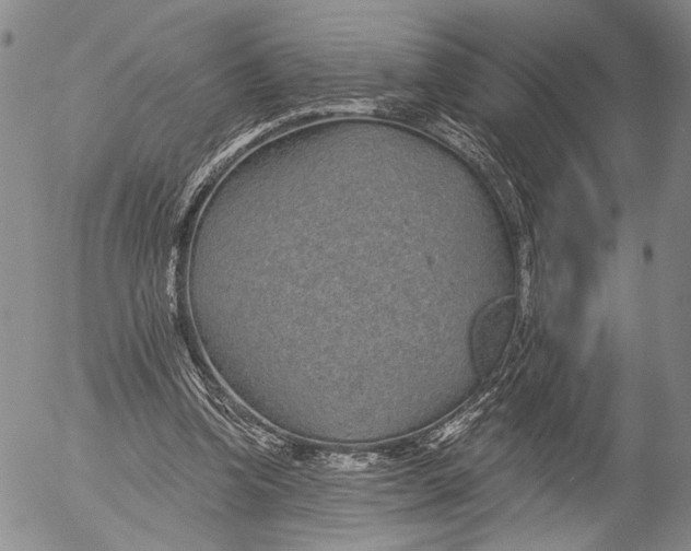 X0000052980346200507291557