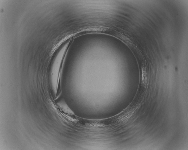 X0000052980348200507291557