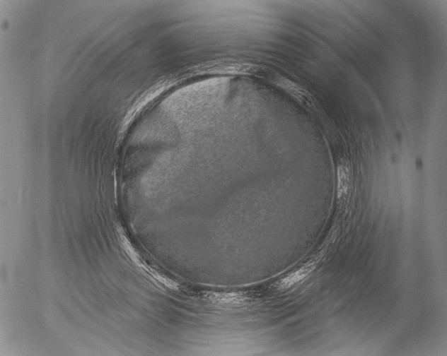 X0000052980349200507291557