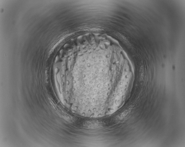 X0000052980351200507291557