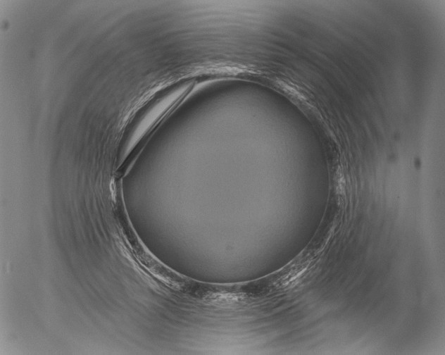 X0000052980352200507291557