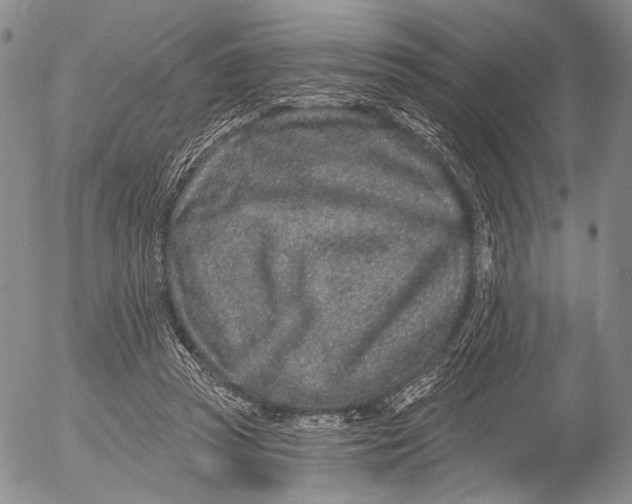 X0000052980353200507291557