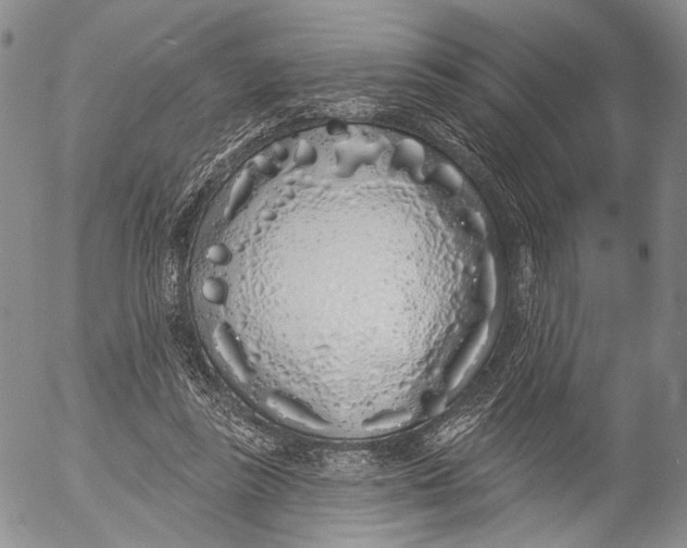 X0000052980355200507291557