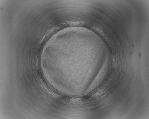 X0000052980357200507291557