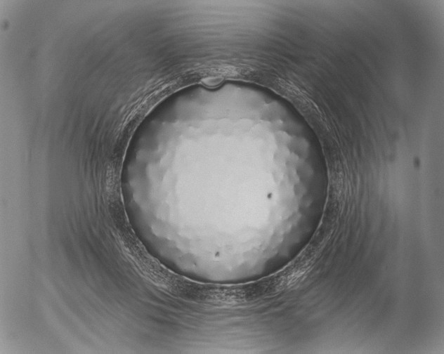 X0000052980359200507291557