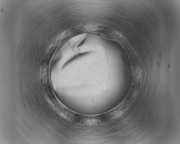 X0000052980360200507291557