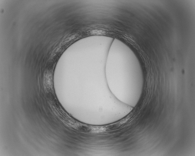 X0000052980363200507291557