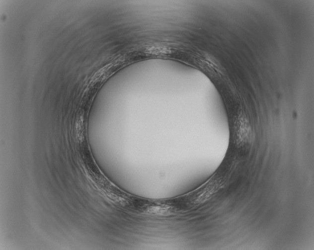 X0000052980364200507291557