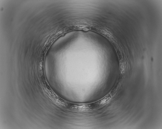 X0000052980365200507291557