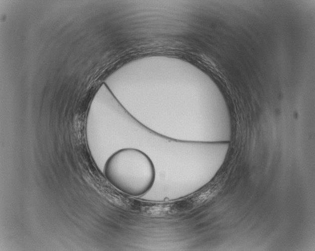 X0000052980366200507291557