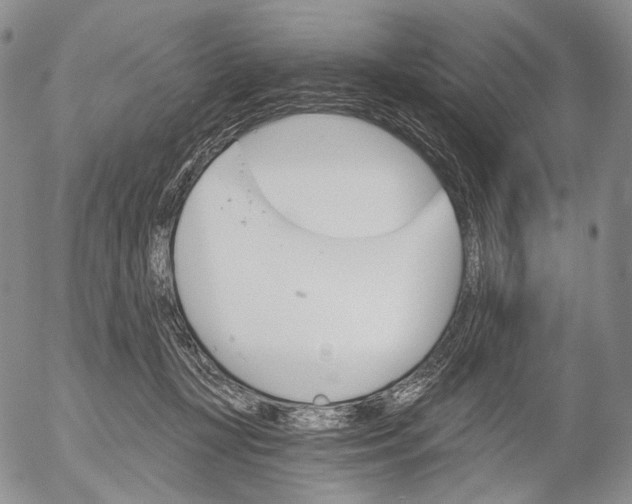 X0000052980367200507291557