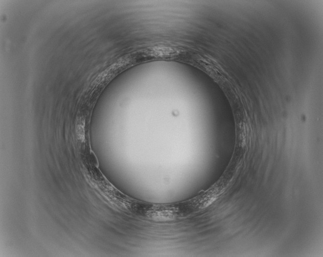 X0000052980368200507291557