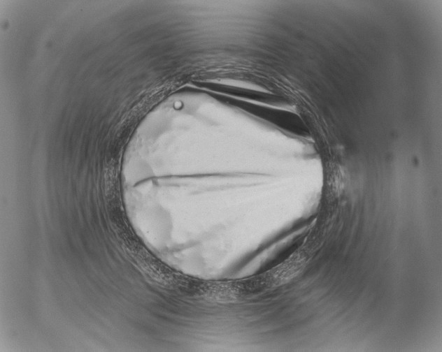 X0000052980369200507291557