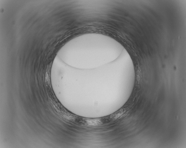 X0000052980371200507291557