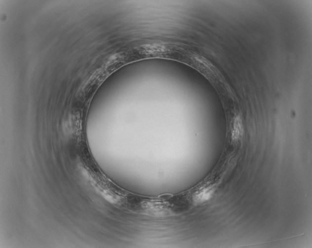 X0000052980372200507291557