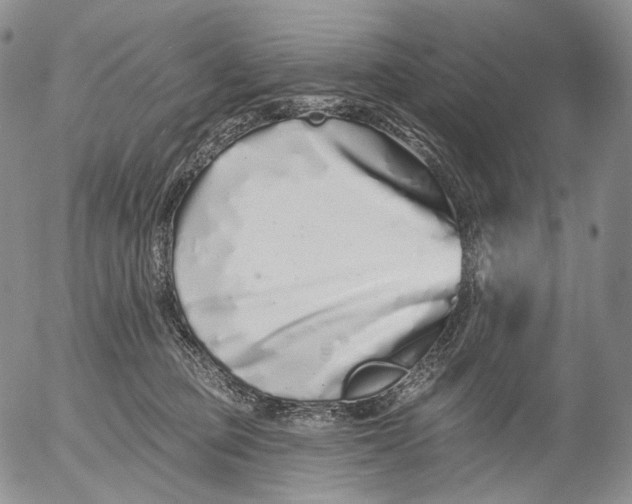 X0000052980373200507291557