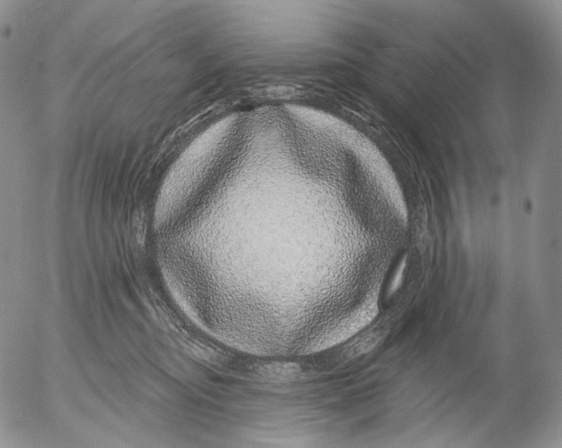 X0000052980374200507291558