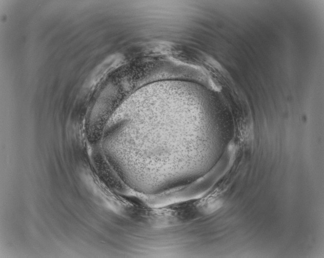 X0000052980376200507291558