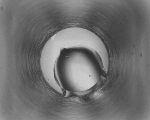 X0000052980377200507291558