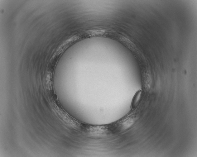 X0000052980378200507291558