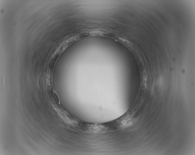 X0000052980379200507291558