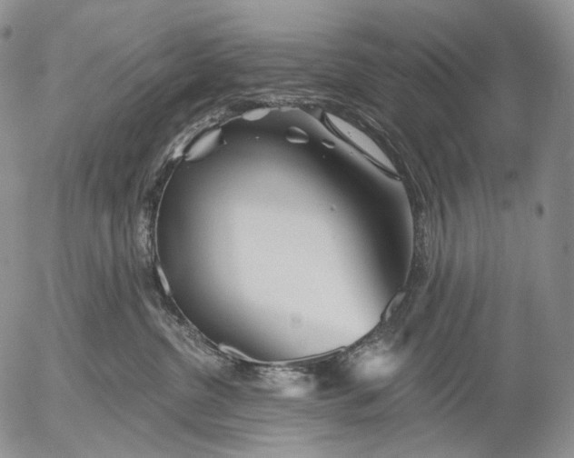 X0000052980380200507291558