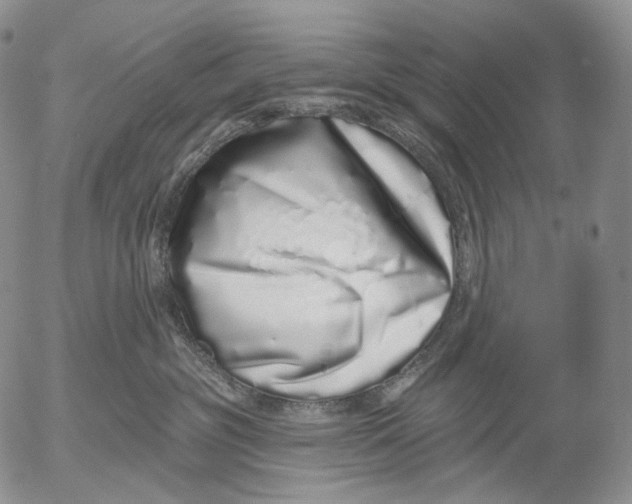 X0000052980381200507291558