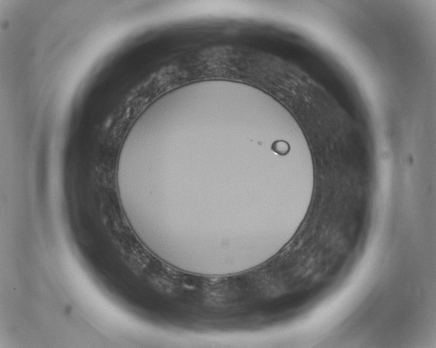 X0000052980382200507291558