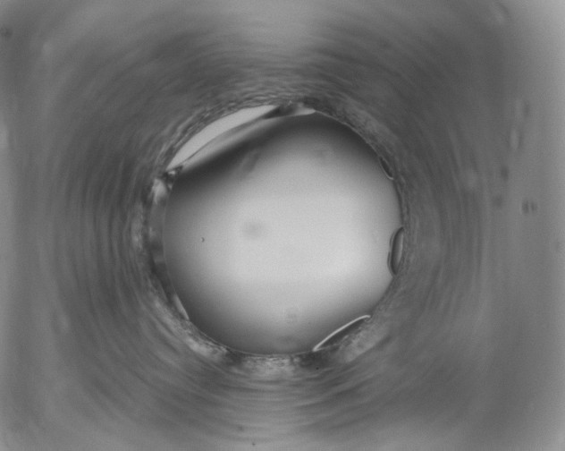 X0000052980384200507291558