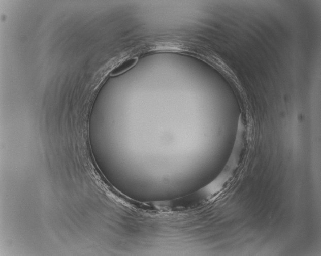 X0000052980385200507291557