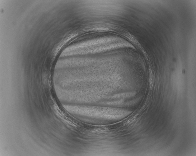 X0000052980386200507291557