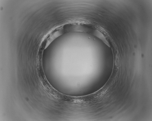 X0000052980388200507291557