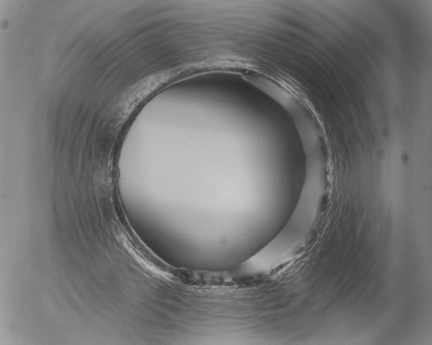 X0000052980389200507291557