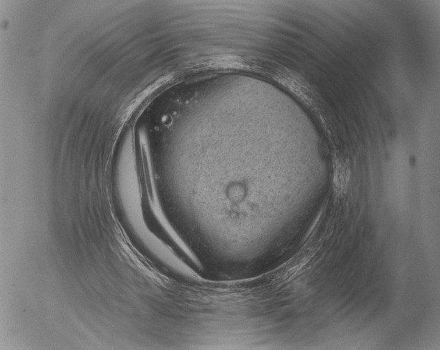 X0000052980390200507291557